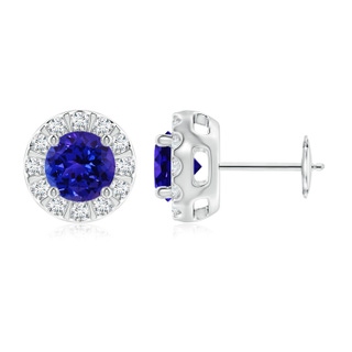 6mm AAAA Tanzanite Stud Earrings with Bar-Set Diamond Halo in White Gold