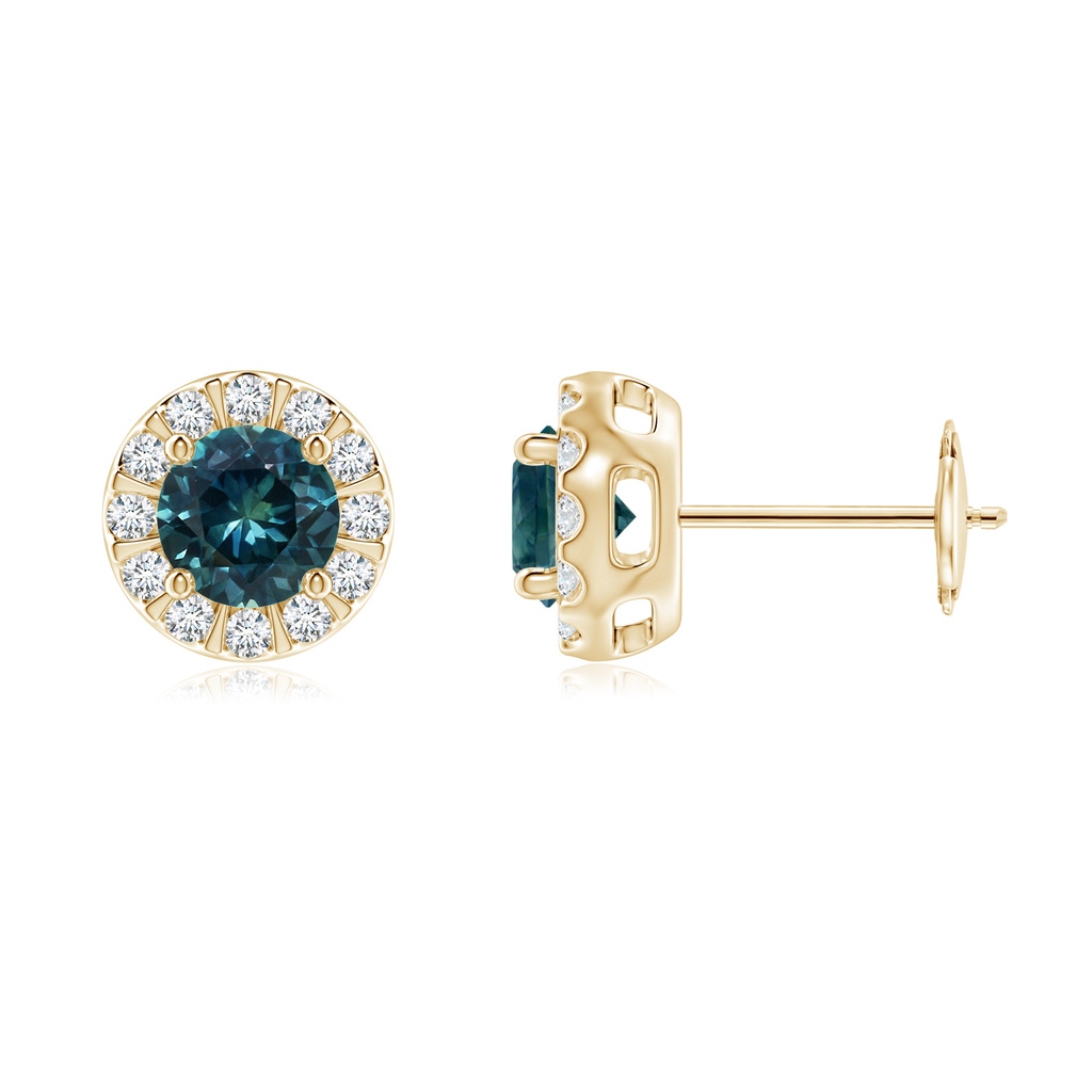 5mm AAA Teal Montana Sapphire Stud Earrings with Bar-Set Diamond Halo in Yellow Gold