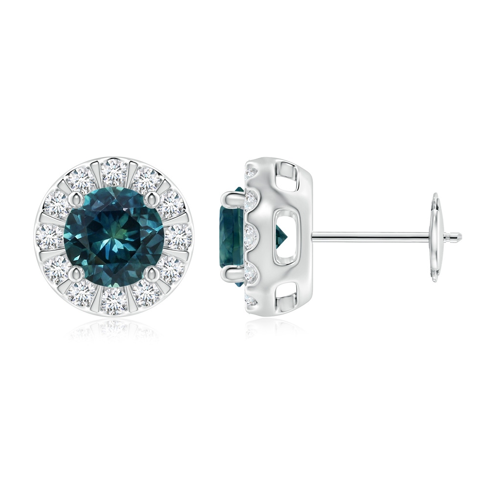 6mm AAA Teal Montana Sapphire Stud Earrings with Bar-Set Diamond Halo in White Gold