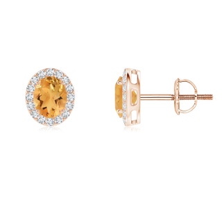 5x4mm A Oval Citrine Studs with Diamond Halo in 9K Rose Gold