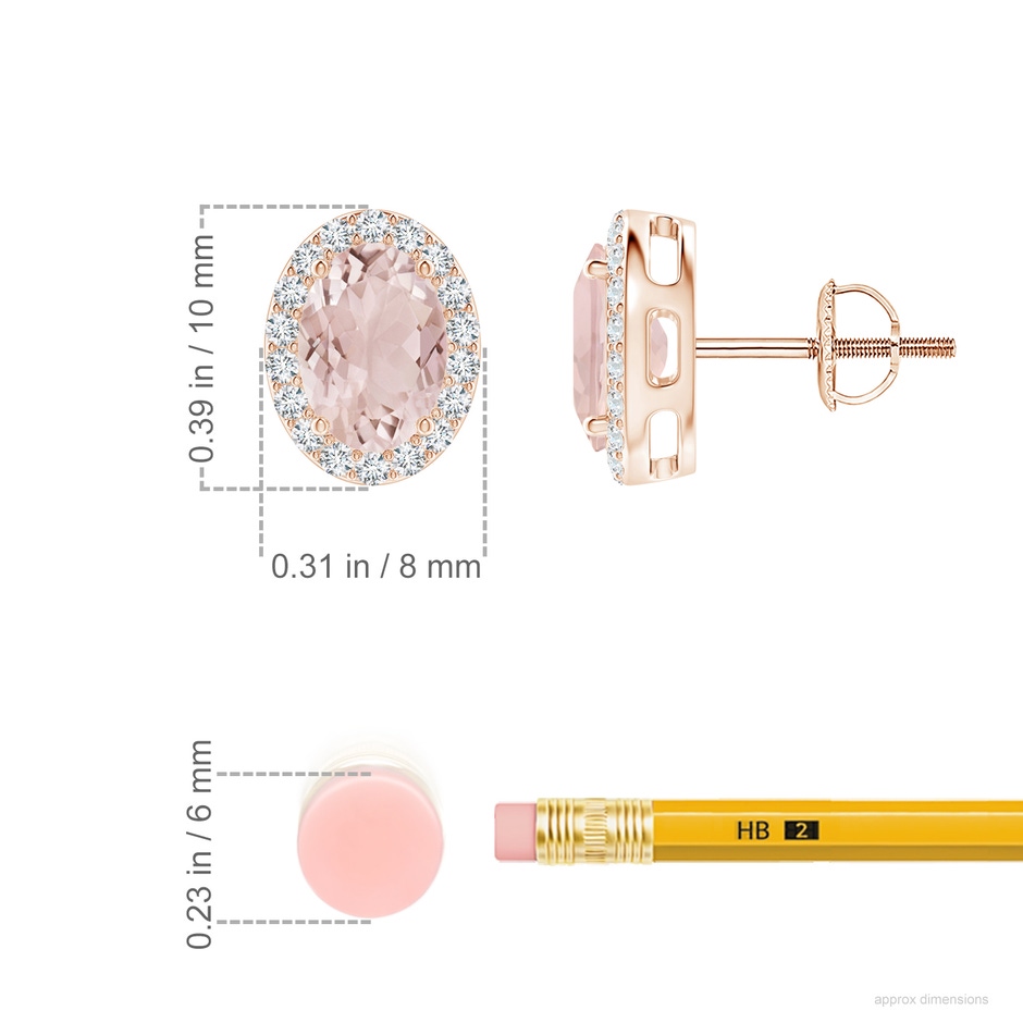 7x5mm A Prong-Set Oval Morganite Stud Earrings with Diamond Halo in Rose Gold ruler