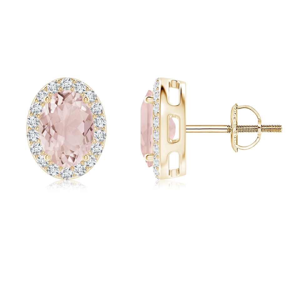7x5mm A Prong-Set Oval Morganite Stud Earrings with Diamond Halo in Yellow Gold 