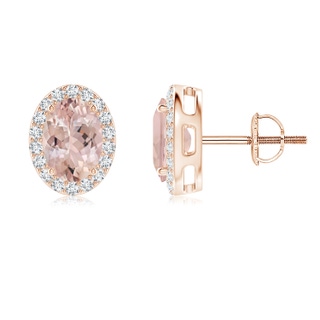 7x5mm AA Oval Morganite Studs with Diamond Halo in Rose Gold