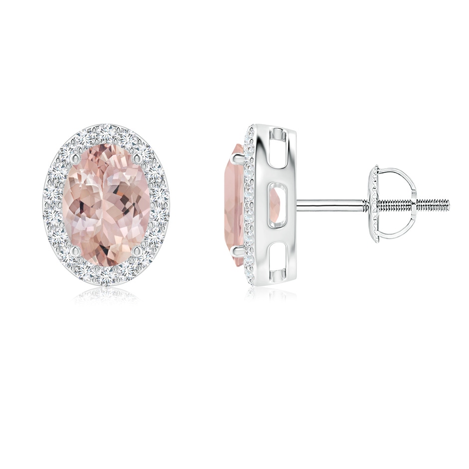 7x5mm AA Oval Morganite Studs with Diamond Halo in White Gold 