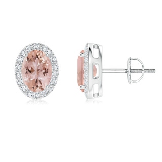 7x5mm AAA Oval Morganite Studs with Diamond Halo in White Gold