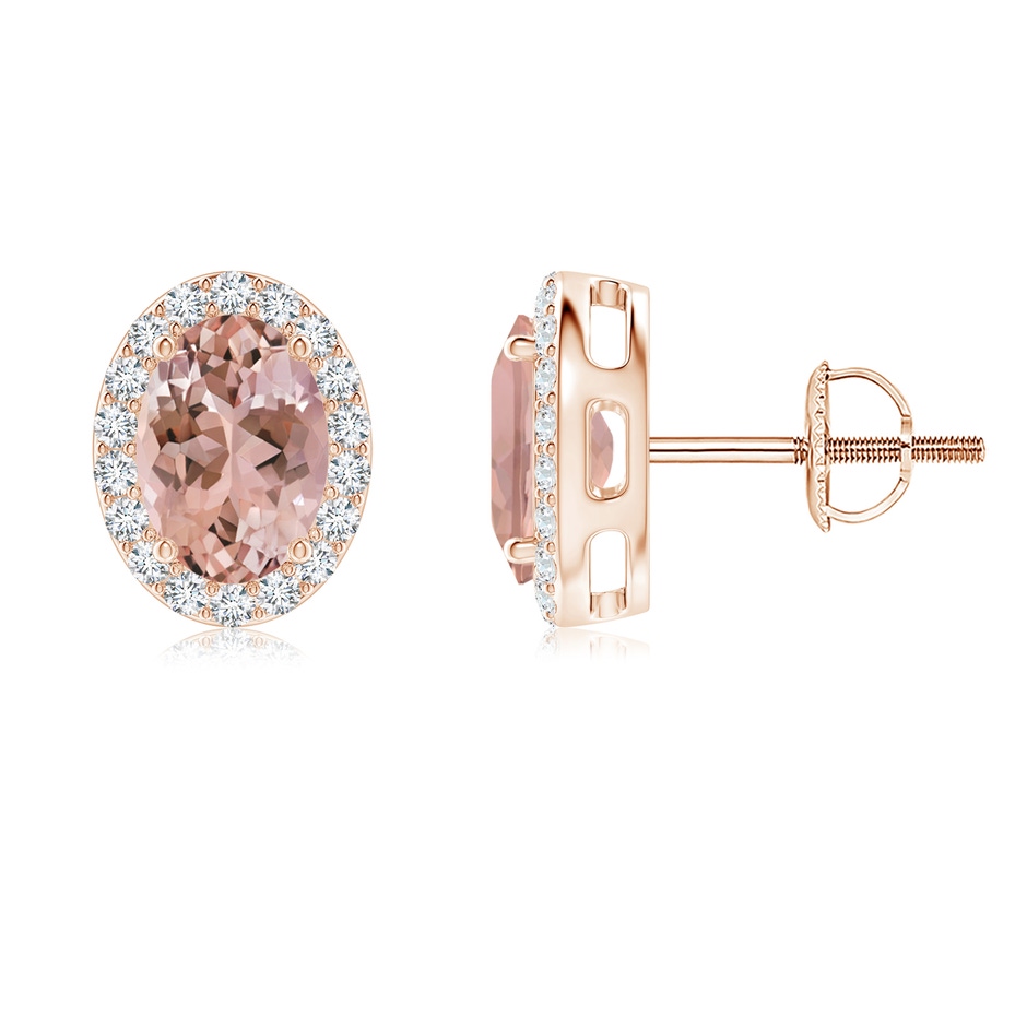 7x5mm AAAA Oval Morganite Studs with Diamond Halo in Rose Gold 