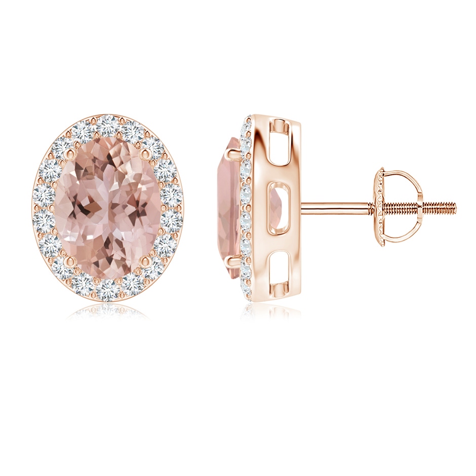 8x6mm AAA Oval Morganite Studs with Diamond Halo in Rose Gold 