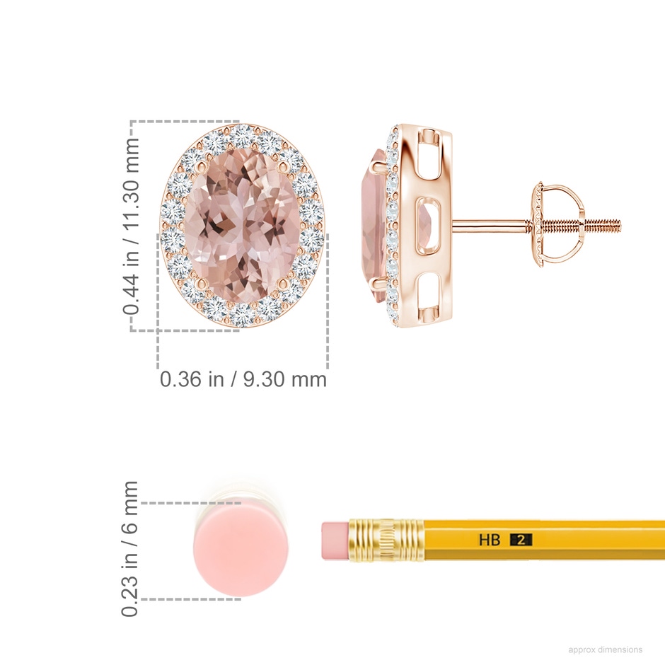 8x6mm AAA Prong-Set Oval Morganite Stud Earrings with Diamond Halo in Rose Gold ruler