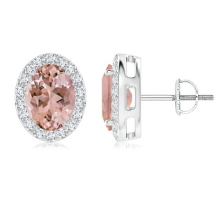 8x6mm AAAA Oval Morganite Studs with Diamond Halo in P950 Platinum