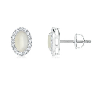 6x4mm AAA Oval Moonstone Studs with Diamond Halo in White Gold