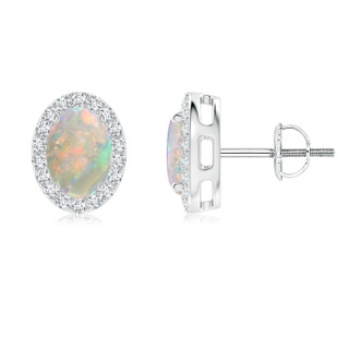 7x5mm AAAA Oval Opal Studs with Diamond Halo in P950 Platinum