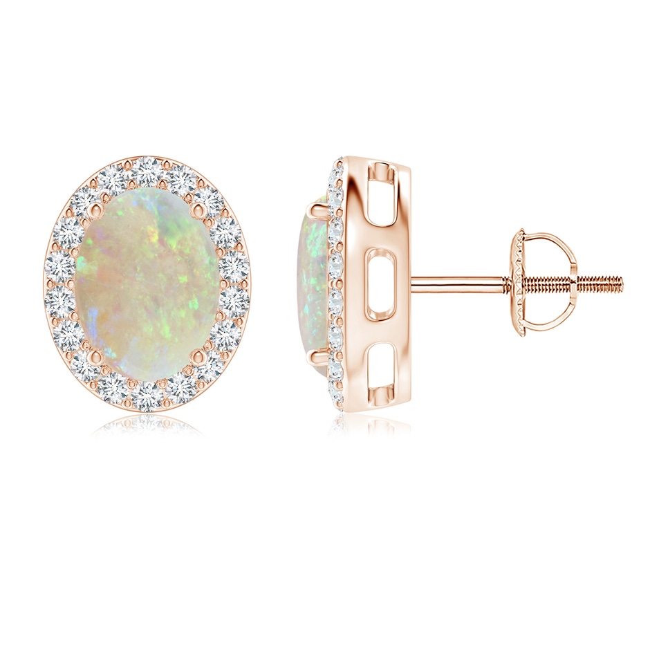8x6mm AAA Oval Opal Studs with Diamond Halo in Rose Gold 