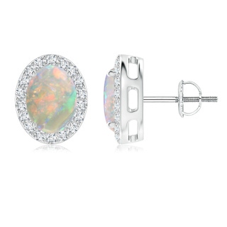 8x6mm AAAA Oval Opal Studs with Diamond Halo in P950 Platinum