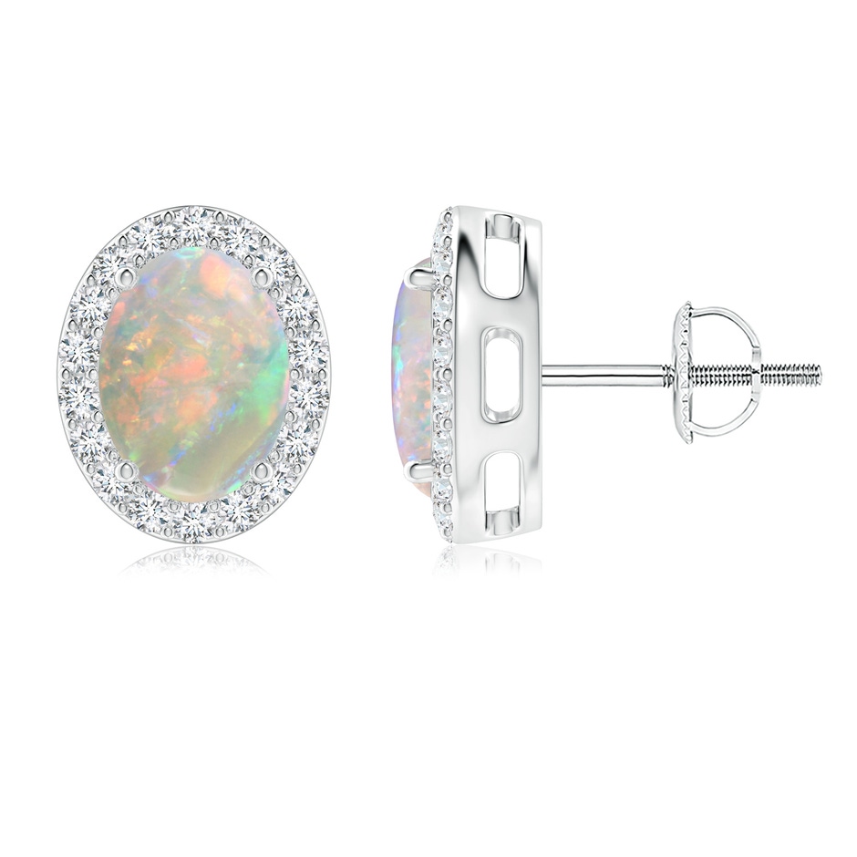 8x6mm AAAA Oval Opal Studs with Diamond Halo in P950 Platinum 