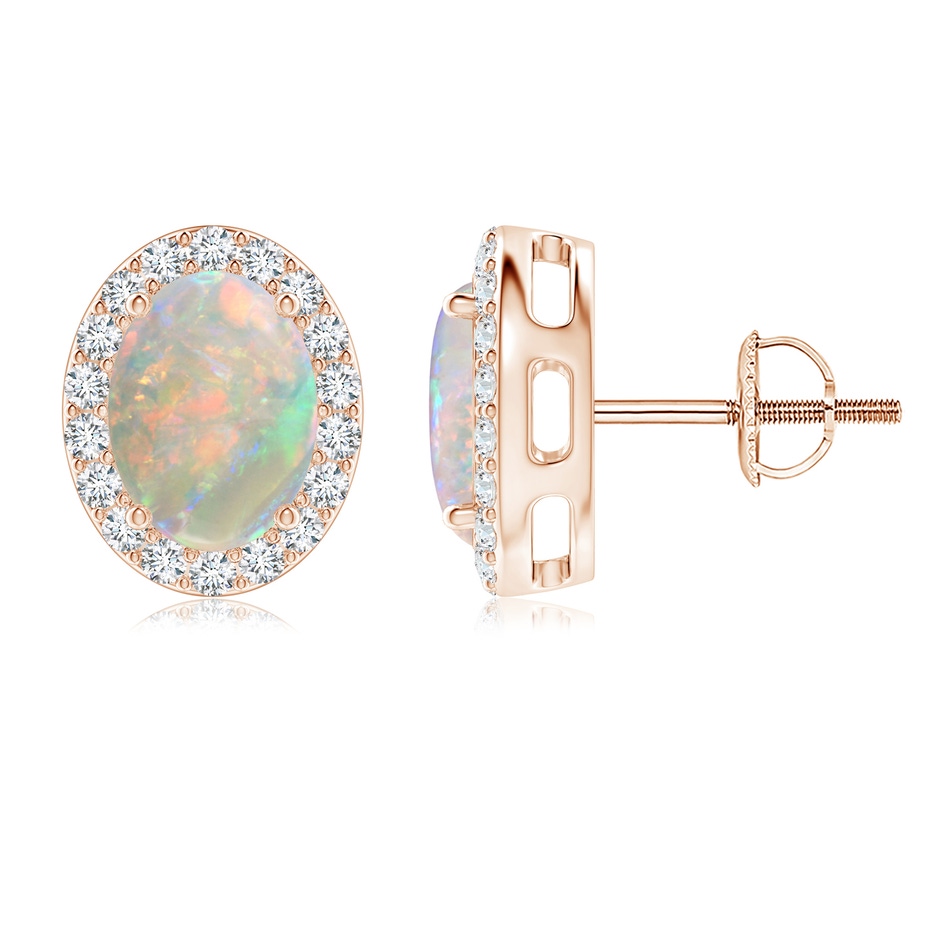 8x6mm AAAA Oval Opal Studs with Diamond Halo in Rose Gold 