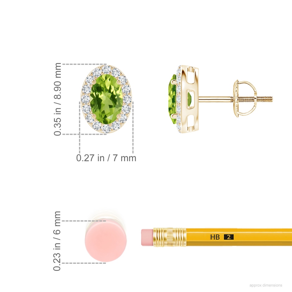 6x4mm AAA Prong-Set Oval Peridot Stud Earrings with Diamond Halo in Yellow Gold ruler