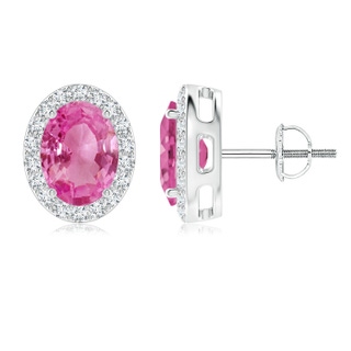 8x6mm AAA Oval Pink Sapphire Studs with Diamond Halo in P950 Platinum