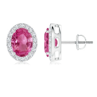 8x6mm AAAA Oval Pink Sapphire Studs with Diamond Halo in P950 Platinum