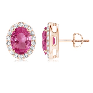 8x6mm AAAA Oval Pink Sapphire Studs with Diamond Halo in Rose Gold