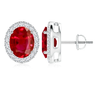 10x8mm AAA Oval Ruby Studs with Diamond Halo in White Gold