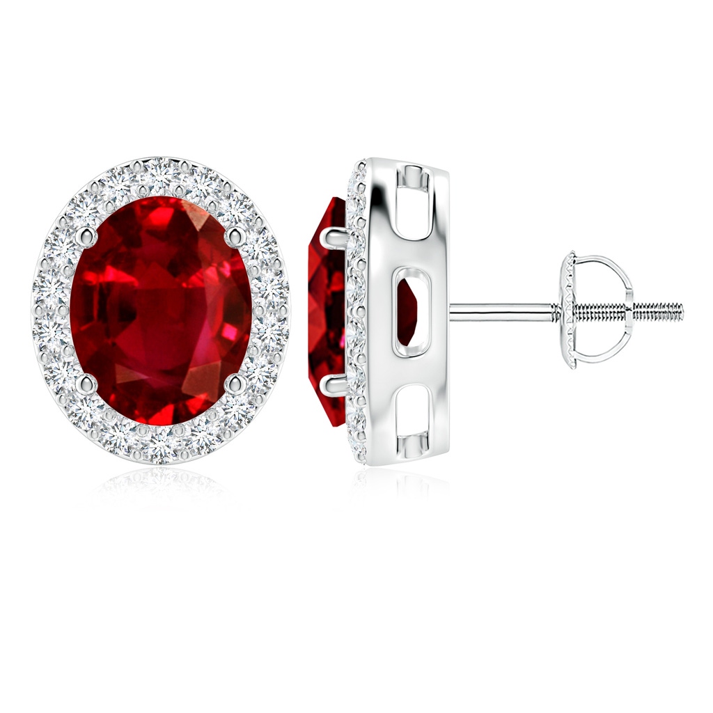 10x8mm AAAA Prong-Set Oval Ruby Stud Earrings with Diamond Halo in P950 Platinum
