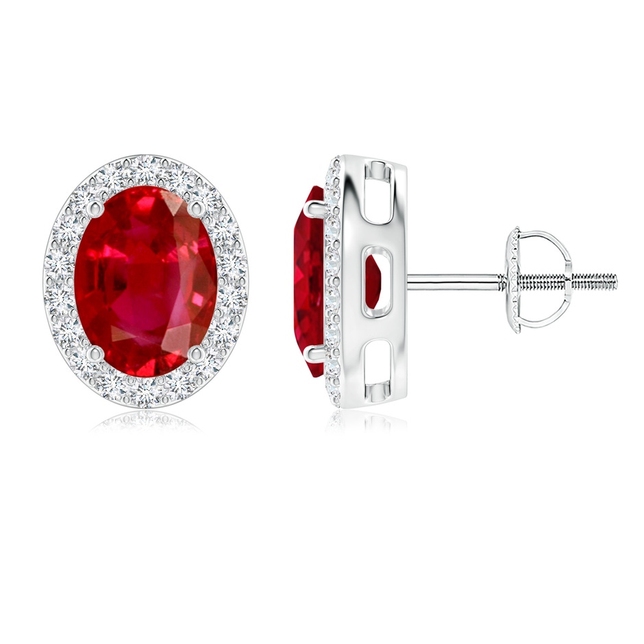 8x6mm AAA Prong-Set Oval Ruby Stud Earrings with Diamond Halo in P950 Platinum 