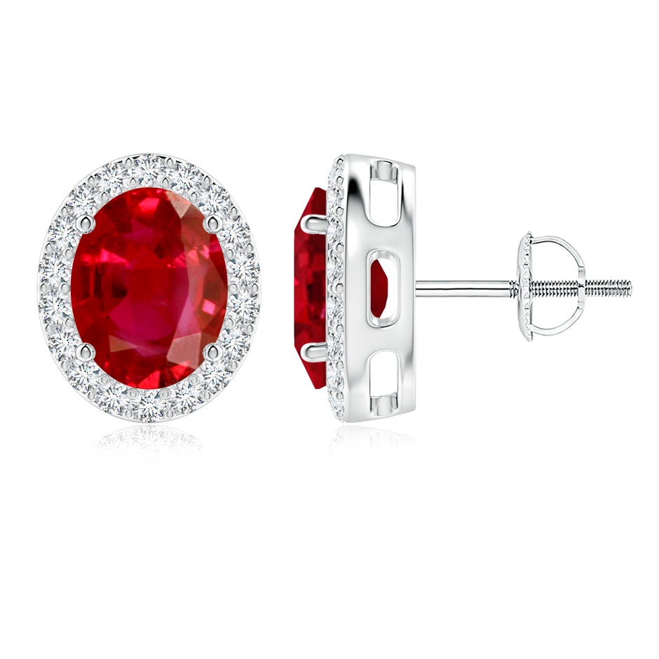 9x7mm AAA Prong-Set Oval Ruby Stud Earrings with Diamond Halo in P950 Platinum 