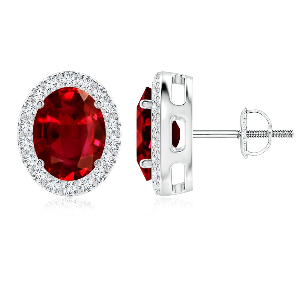 9x7mm AAAA Oval Ruby Studs with Diamond Halo in P950 Platinum