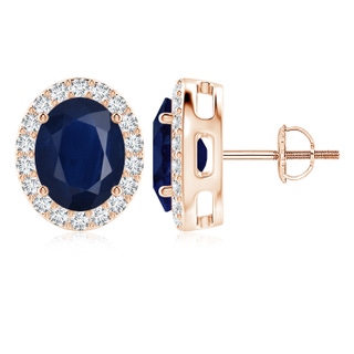 10x8mm A Oval Blue Sapphire Studs with Diamond Halo in Rose Gold