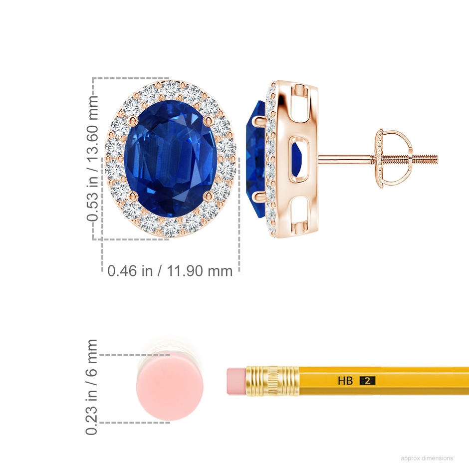 10x8mm AAA Oval Blue Sapphire Studs with Diamond Halo in Rose Gold ruler