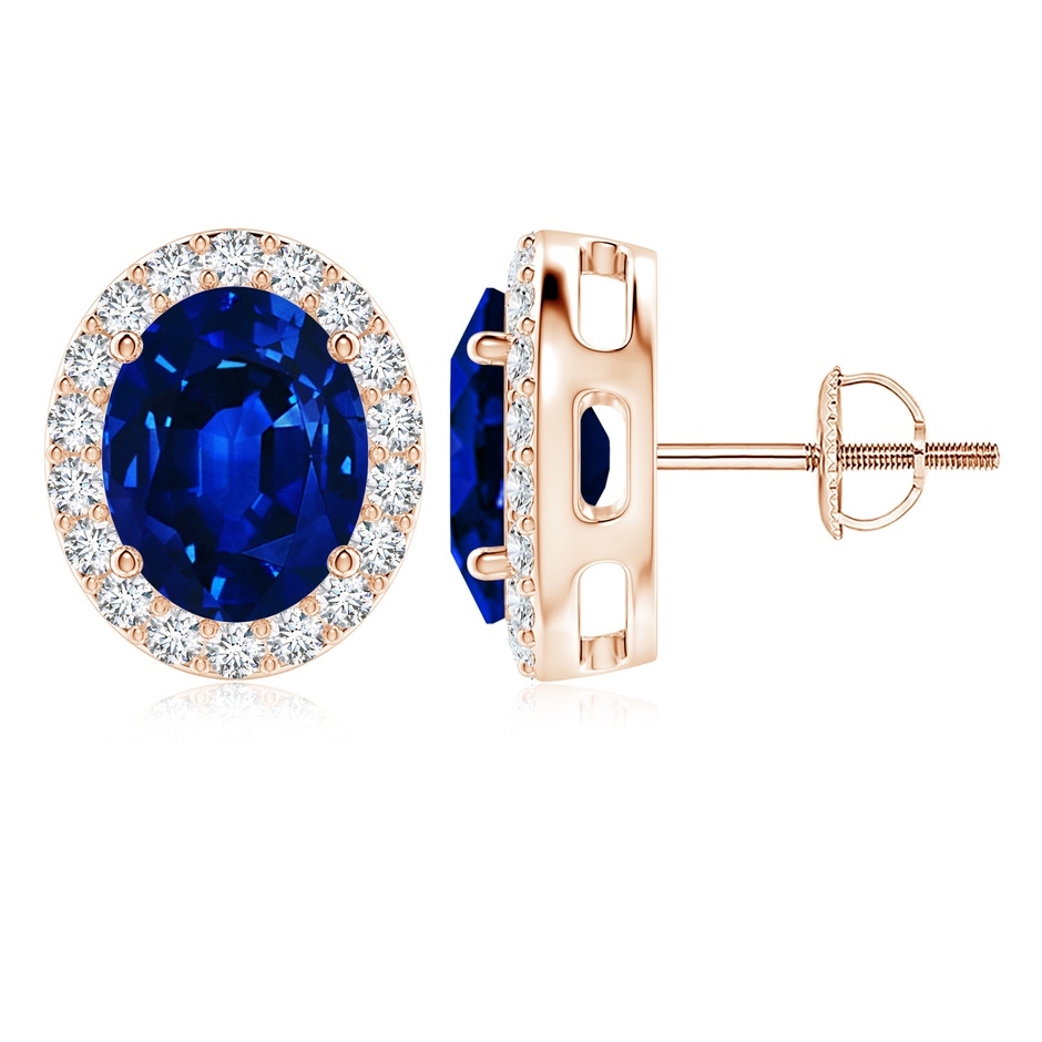 10x8mm AAAA Oval Blue Sapphire Studs with Diamond Halo in Rose Gold 