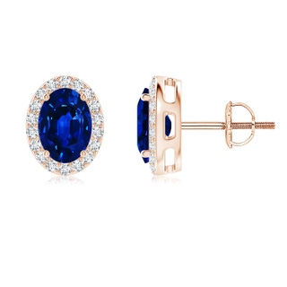 7x5mm AAAA Oval Blue Sapphire Studs with Diamond Halo in 10K Rose Gold