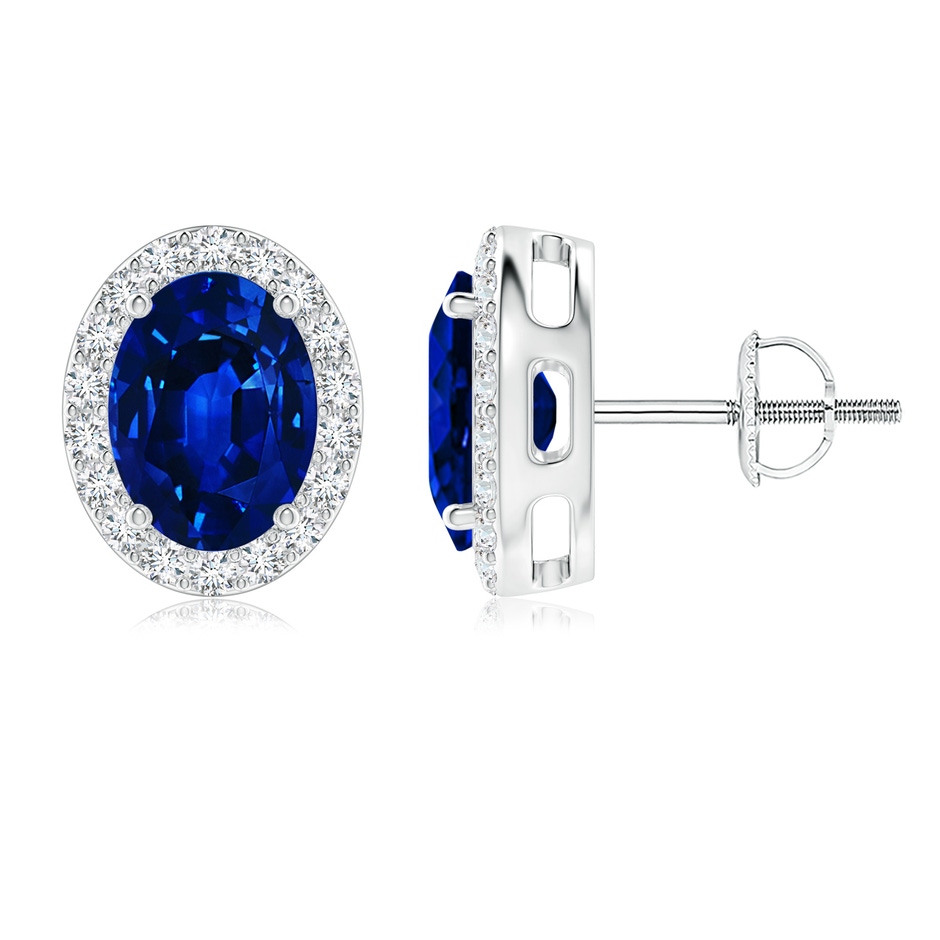 8x6mm AAAA Oval Blue Sapphire Studs with Diamond Halo in P950 Platinum 
