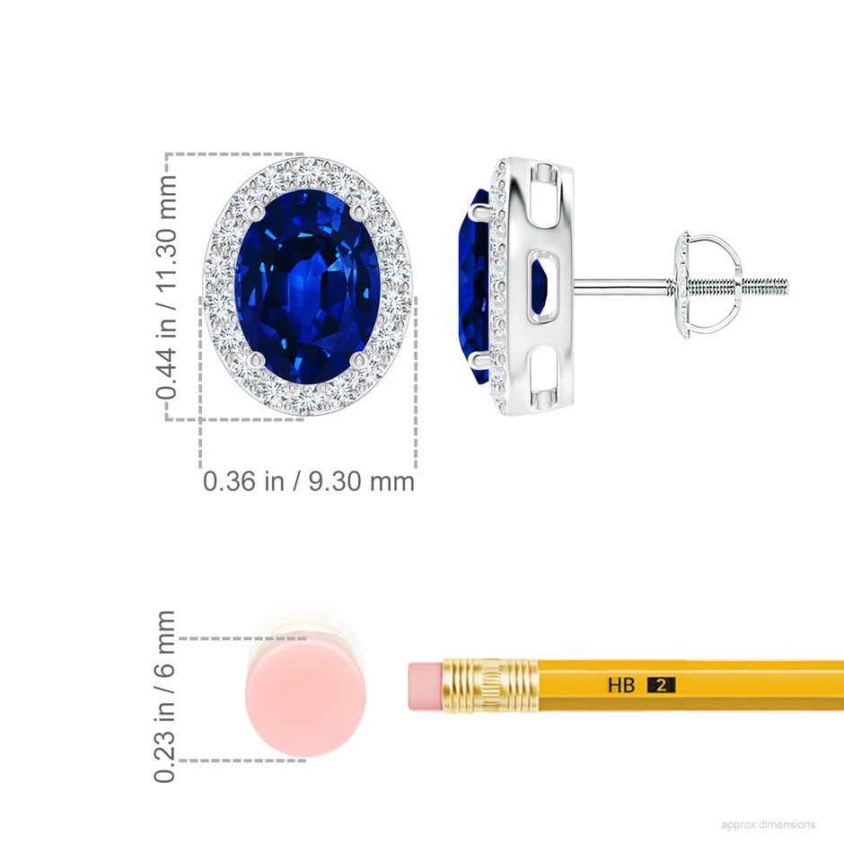 8x6mm AAAA Oval Blue Sapphire Studs with Diamond Halo in P950 Platinum ruler