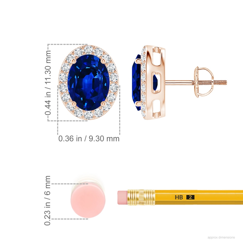 8x6mm AAAA Oval Blue Sapphire Studs with Diamond Halo in Rose Gold ruler