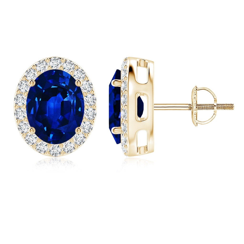 9x7mm AAAA Oval Blue Sapphire Studs with Diamond Halo in Yellow Gold
