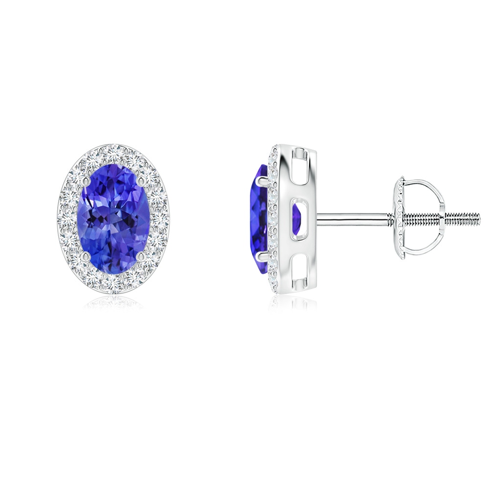 6x4mm AAAA Oval Tanzanite Studs with Diamond Halo in P950 Platinum