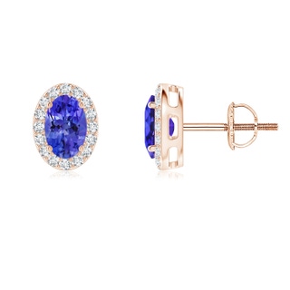 6x4mm AAAA Oval Tanzanite Studs with Diamond Halo in Rose Gold