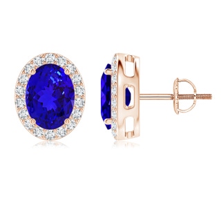 8x6mm AAAA Oval Tanzanite Studs with Diamond Halo in Rose Gold