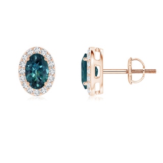 6x4mm AAA Oval Teal Montana Sapphire Studs with Diamond Halo in Rose Gold