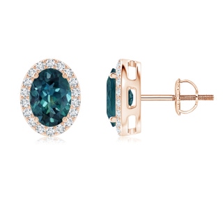 7x5mm AAA Oval Teal Montana Sapphire Studs with Diamond Halo in 9K Rose Gold