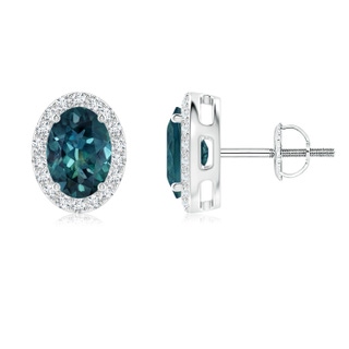 7x5mm AAA Oval Teal Montana Sapphire Studs with Diamond Halo in P950 Platinum