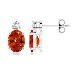 Earrings jewelry