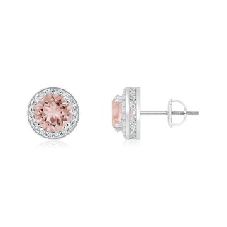 5mm AAAA Round Morganite Stud Earrings with Diamond Halo in White Gold