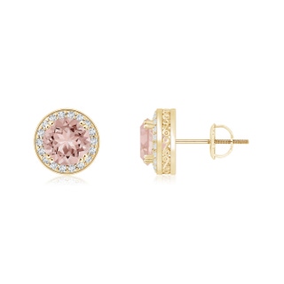 5mm AAAA Round Morganite Stud Earrings with Diamond Halo in Yellow Gold