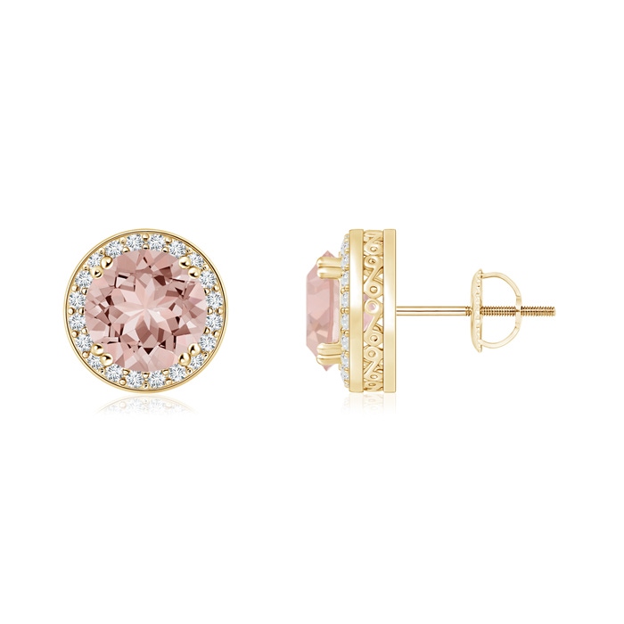 6mm AAAA Round Morganite Stud Earrings with Diamond Halo in Yellow Gold