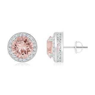 7mm AAAA Round Morganite Stud Earrings with Diamond Halo in P950 Platinum