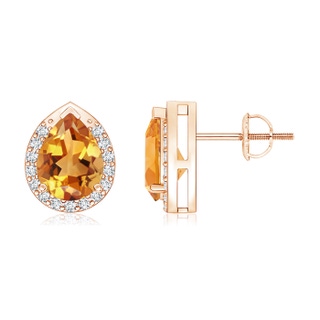 8x6mm AA Pear-Shaped Citrine Stud Earrings with Diamond Halo in Rose Gold