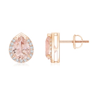 7x5mm AAA Pear-Shaped Morganite Stud Earrings with Diamond Halo in Rose Gold