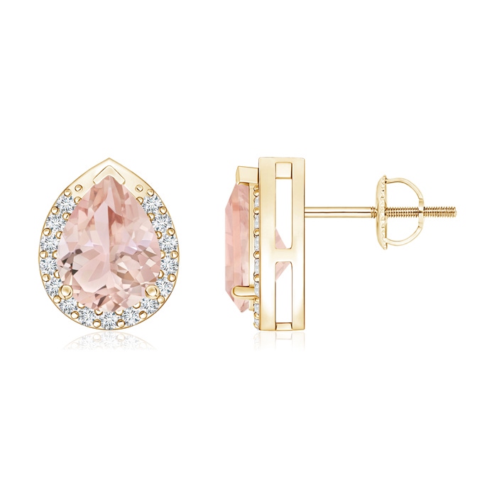 8x6mm AAA Pear-Shaped Morganite Stud Earrings with Diamond Halo in Yellow Gold